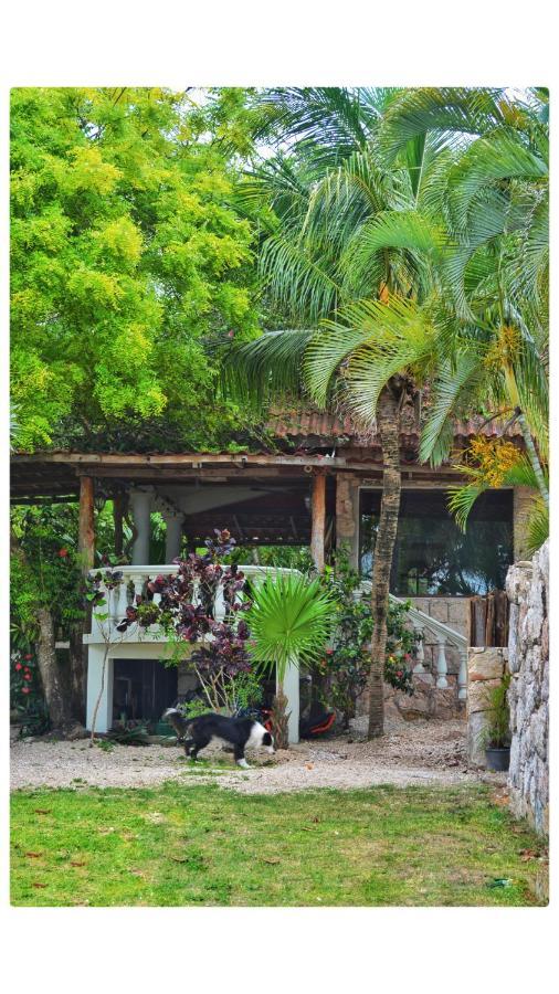 Tortuga Bacalar Bed & Breakfast Exterior photo